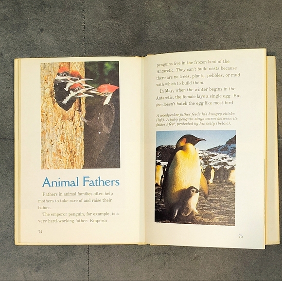 DISNEY 1983 YEAR BOOK & SESAME STREET BERT & ERNIE'S FIRST BOOK OF OPPOSITES - Picture 5 of 11